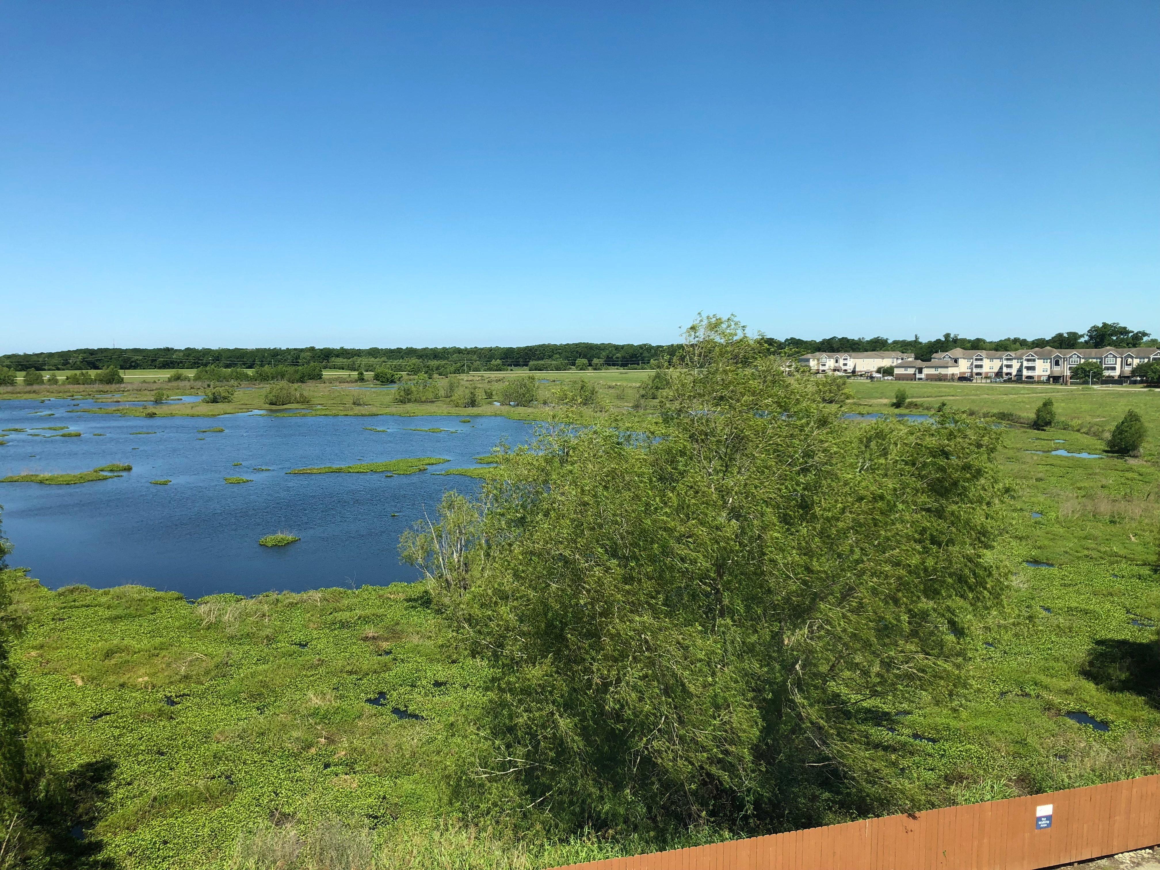 Candlewood Suites Houma By Ihg Exterior foto